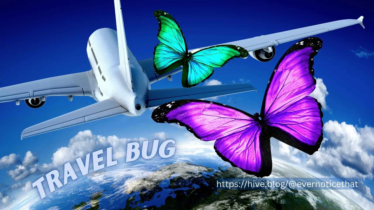 TRAVEL BUG @EverNoticeThat httpshive.blog@evernoticethat.jpg