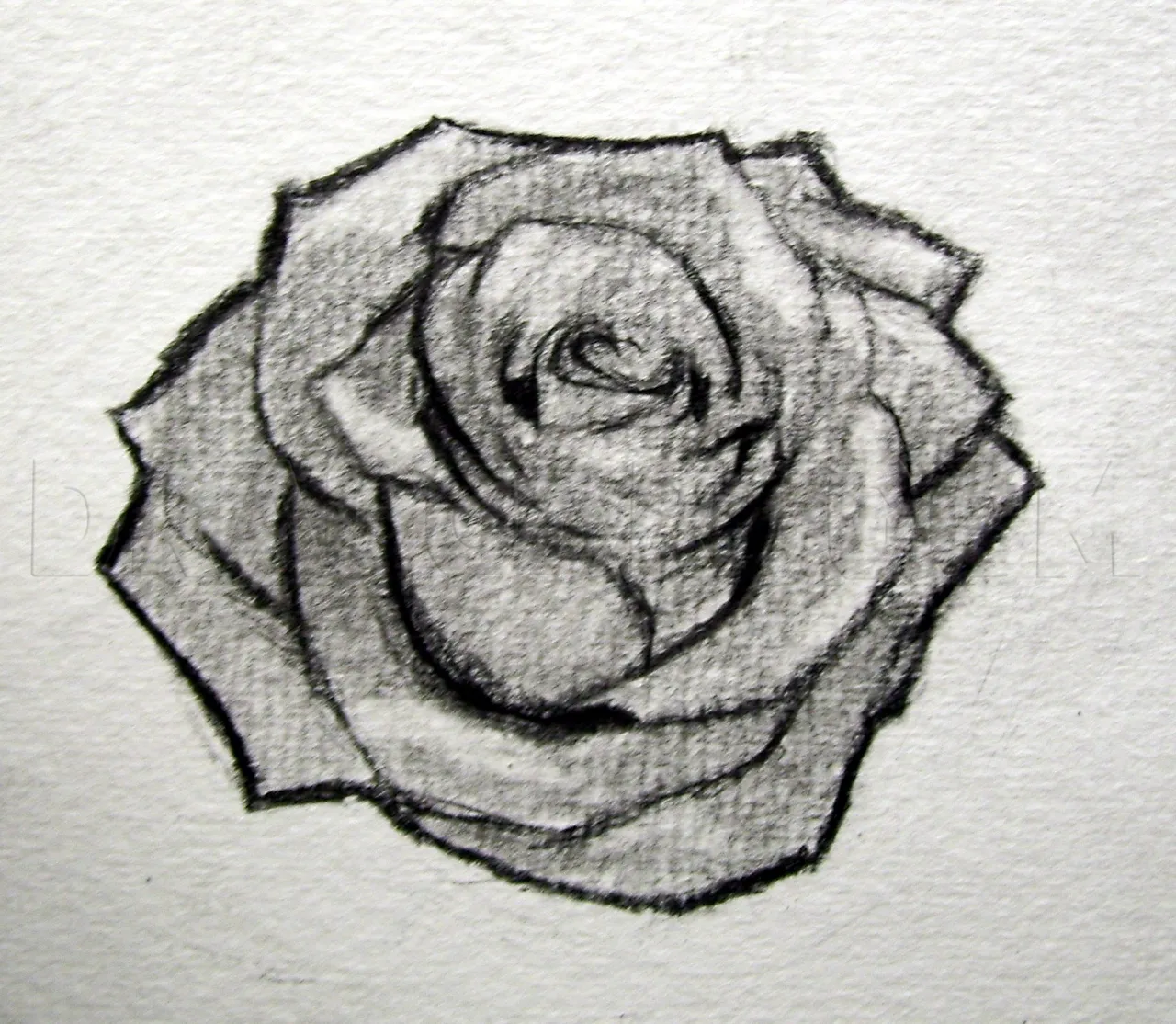 how-to-sketch-a-rose-step-14_5e4c87fe712740.32205447_27040_3_3.jpg