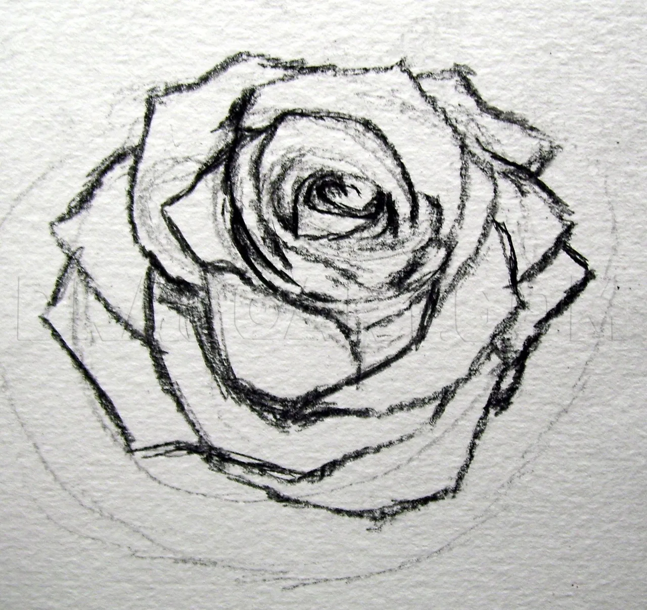 how-to-sketch-a-rose-step-12_5e4c87fe3215d9.87371864_27038_3_3.jpg