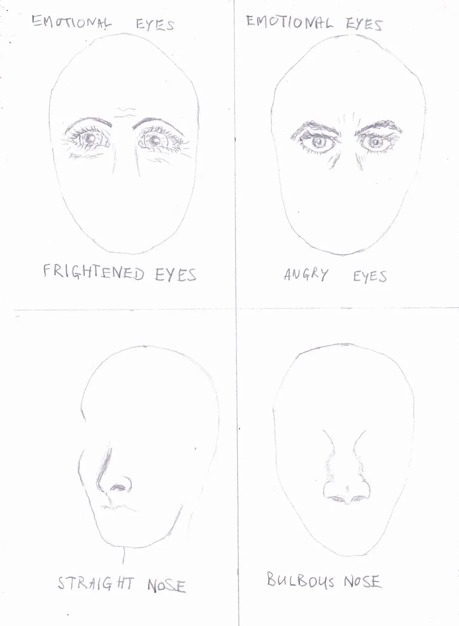Facial features, eyes showing emotion and noses.jpg