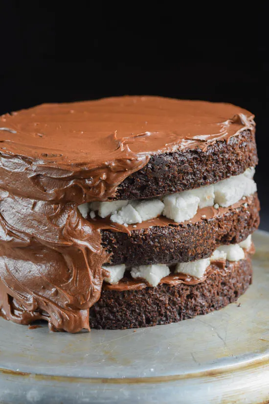 Rich and Dark Hot Cocoa Triple Layer Cake (9).jpg