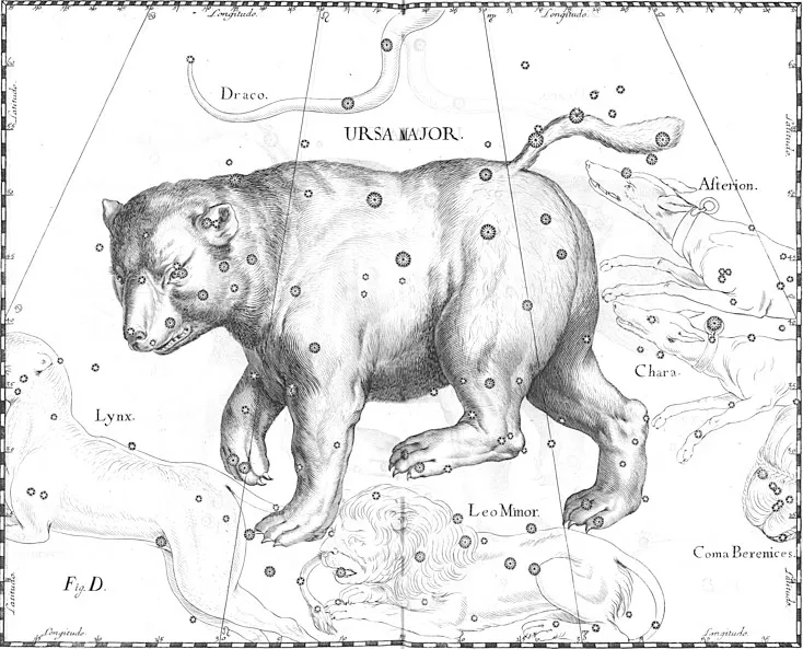 File:Ursa Major constellation Hevelius.jpg
