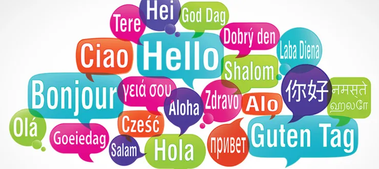 languages740x330.jpg