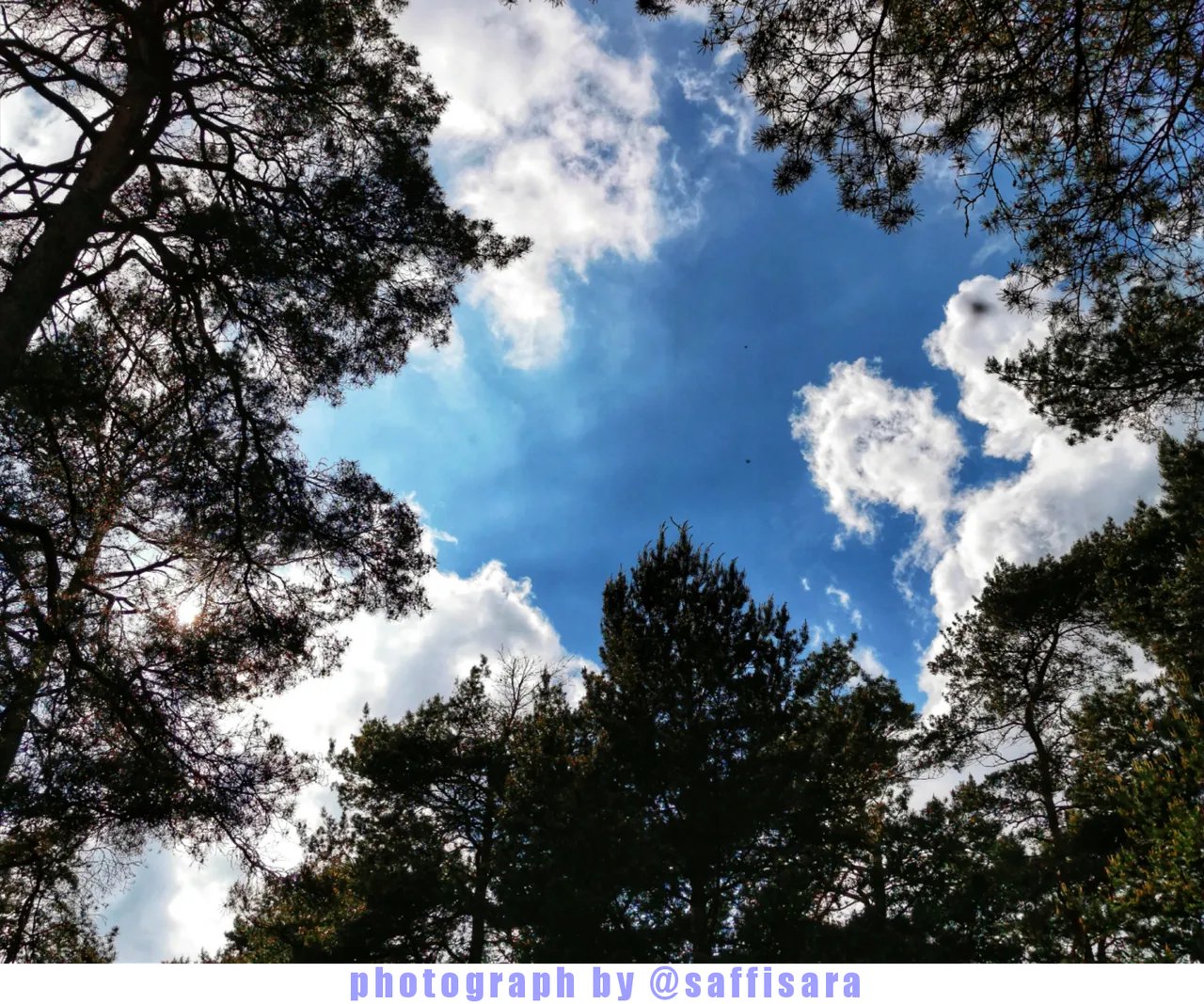 PhotoBySaffisara.png