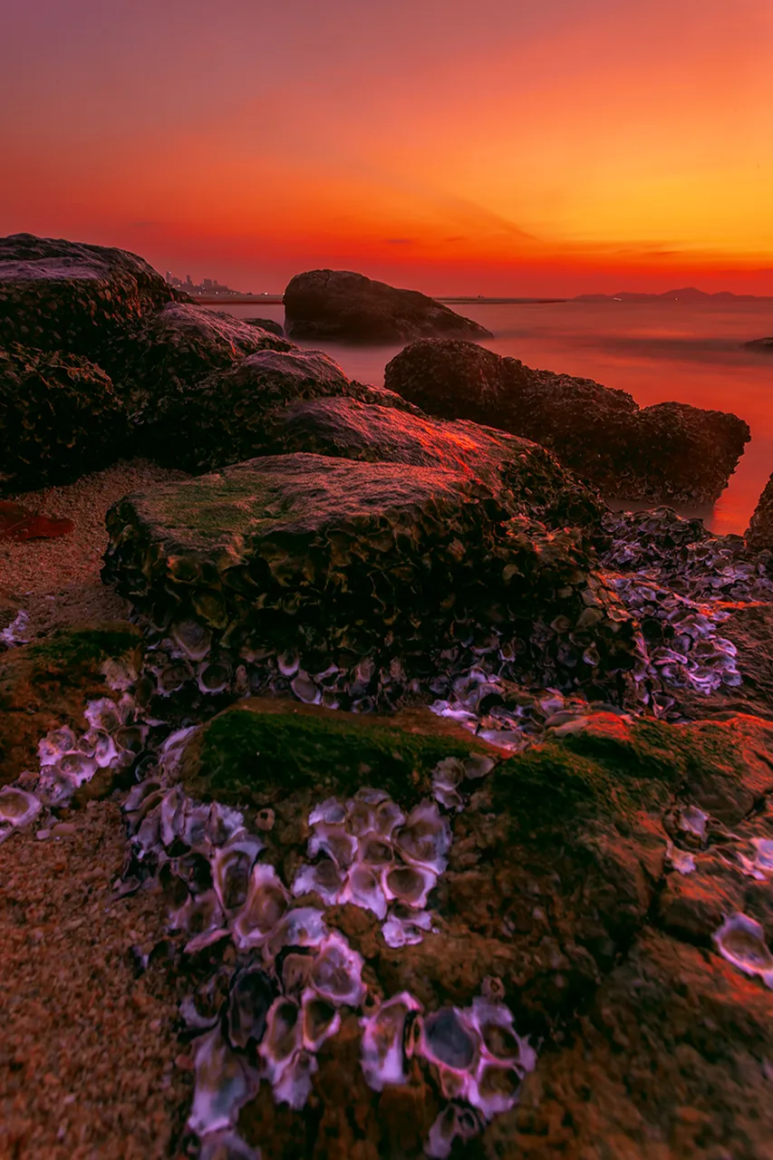 Bleeding-pattaya.jpg