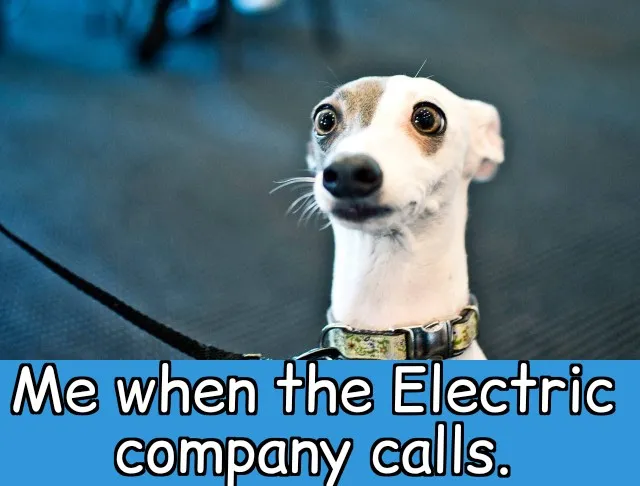 tinydog_bill_pay.jpg