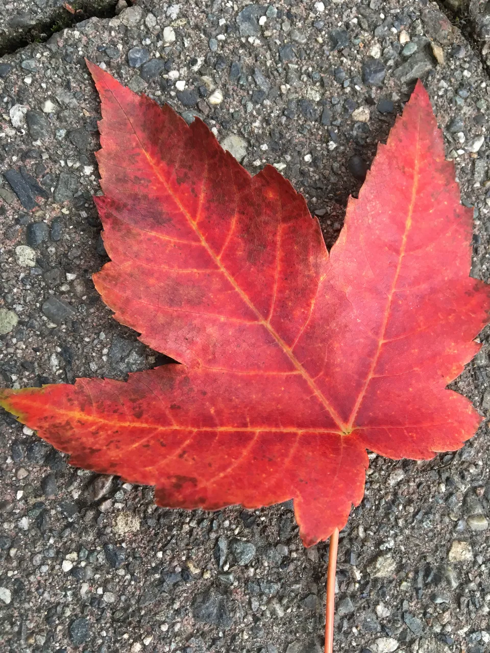 autumn-blog-post.JPG