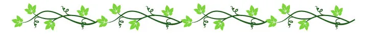 Floral Divider.jpg