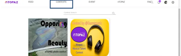 nTopaz Contest.png