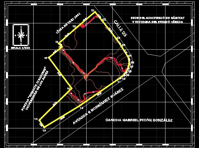 image proyecto.jpg