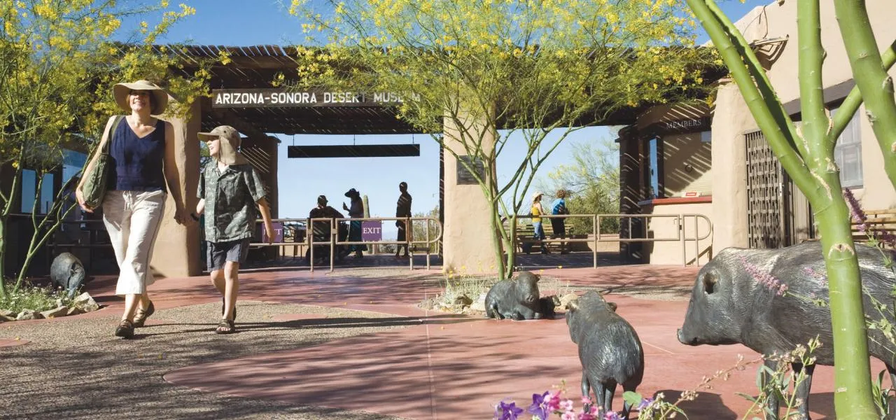 sonoran museum.jpg