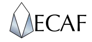 ECAF1-01-300x136.png