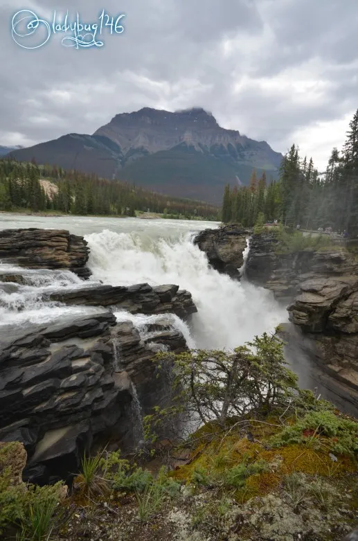 athabasca_falls6.jpg