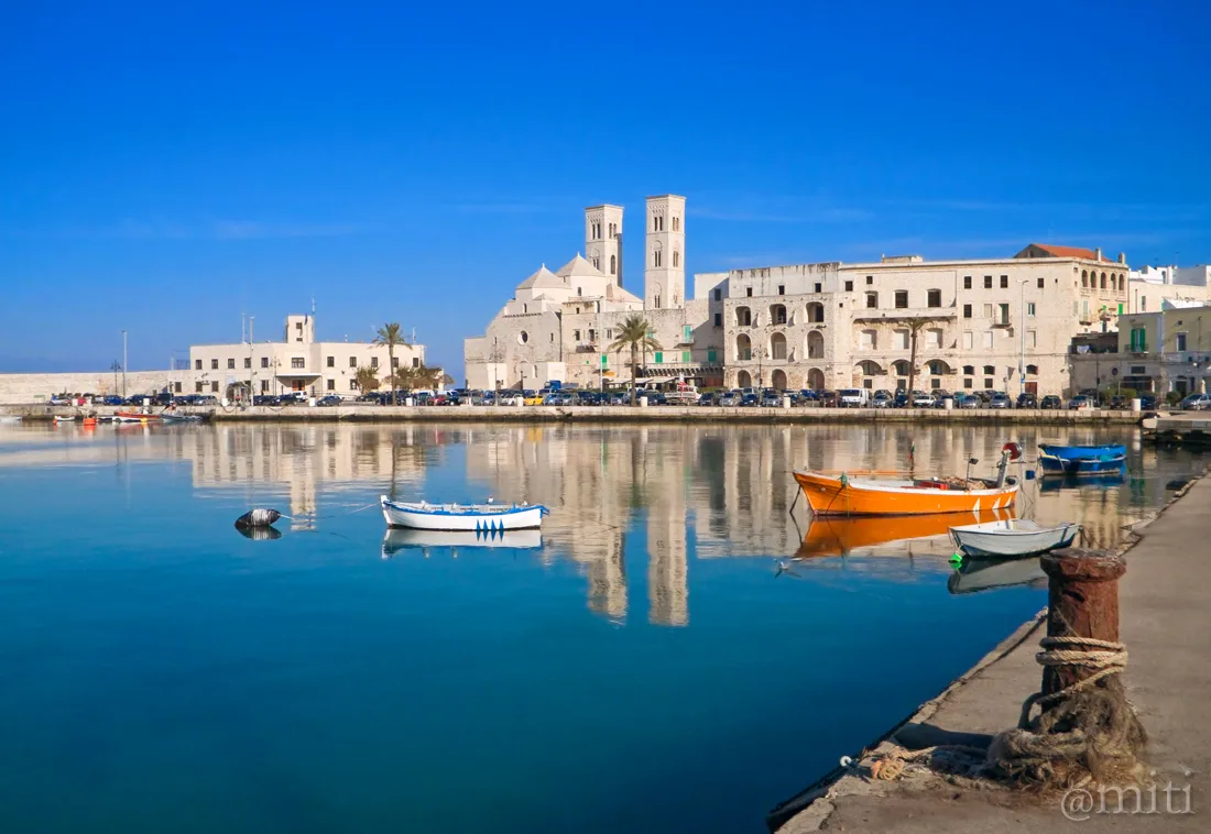 duomo molfetta.jpg