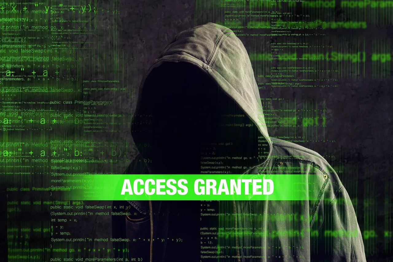 granted access.jpg