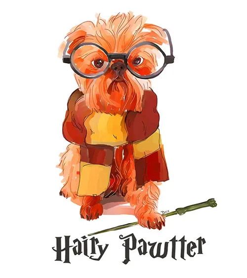 nov15hairypawter.jpg