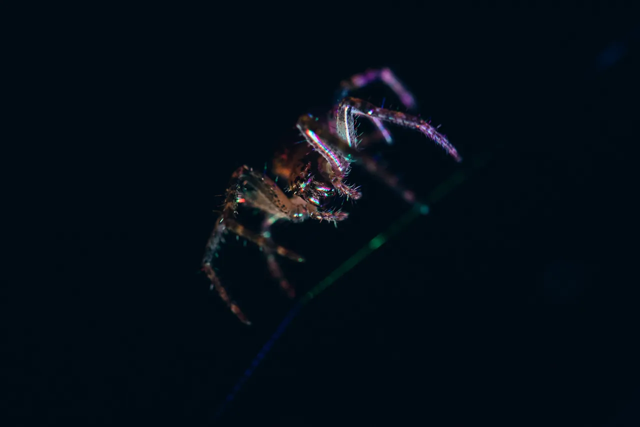 wwest181107_5683.jpg
