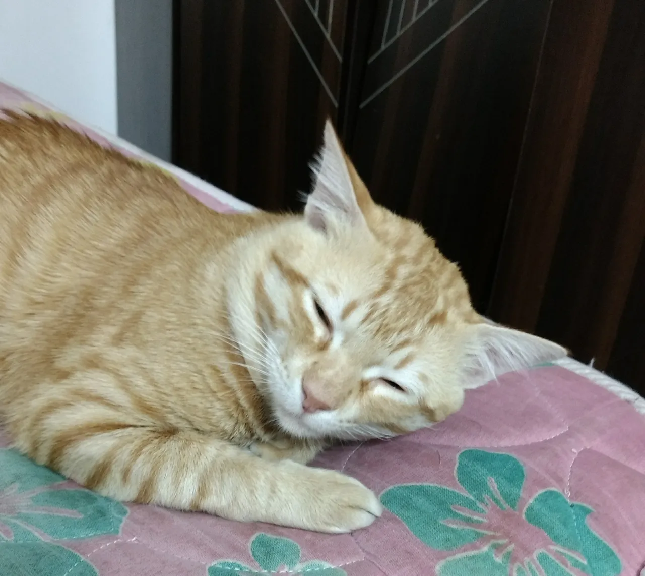 _20180626_081155.JPG