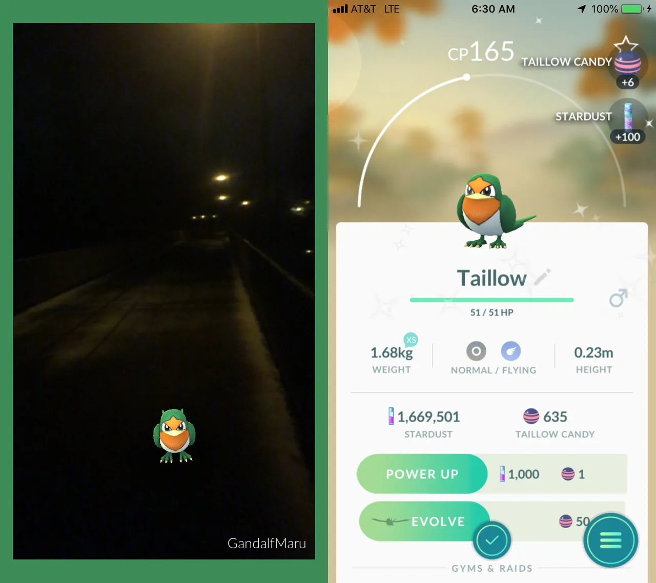 CatchShinyTailow.jpg