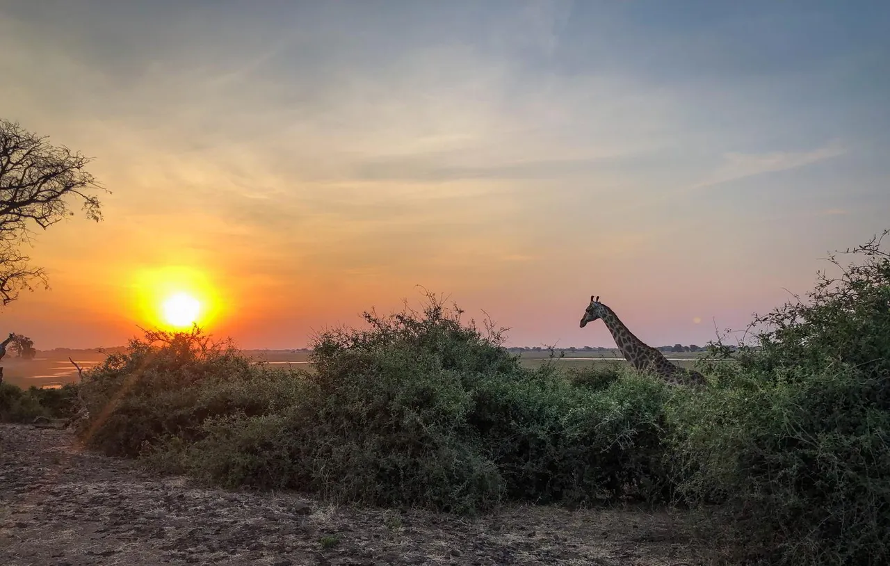 Botswana_2018_87.jpg