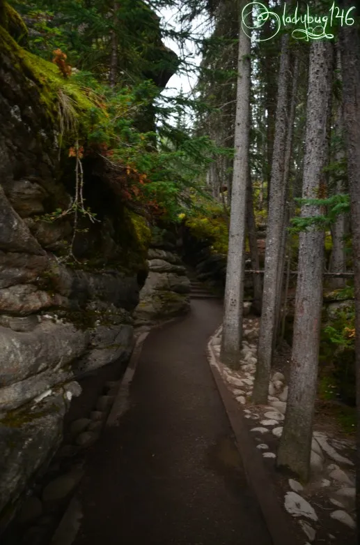 athabasca_falls9.jpg