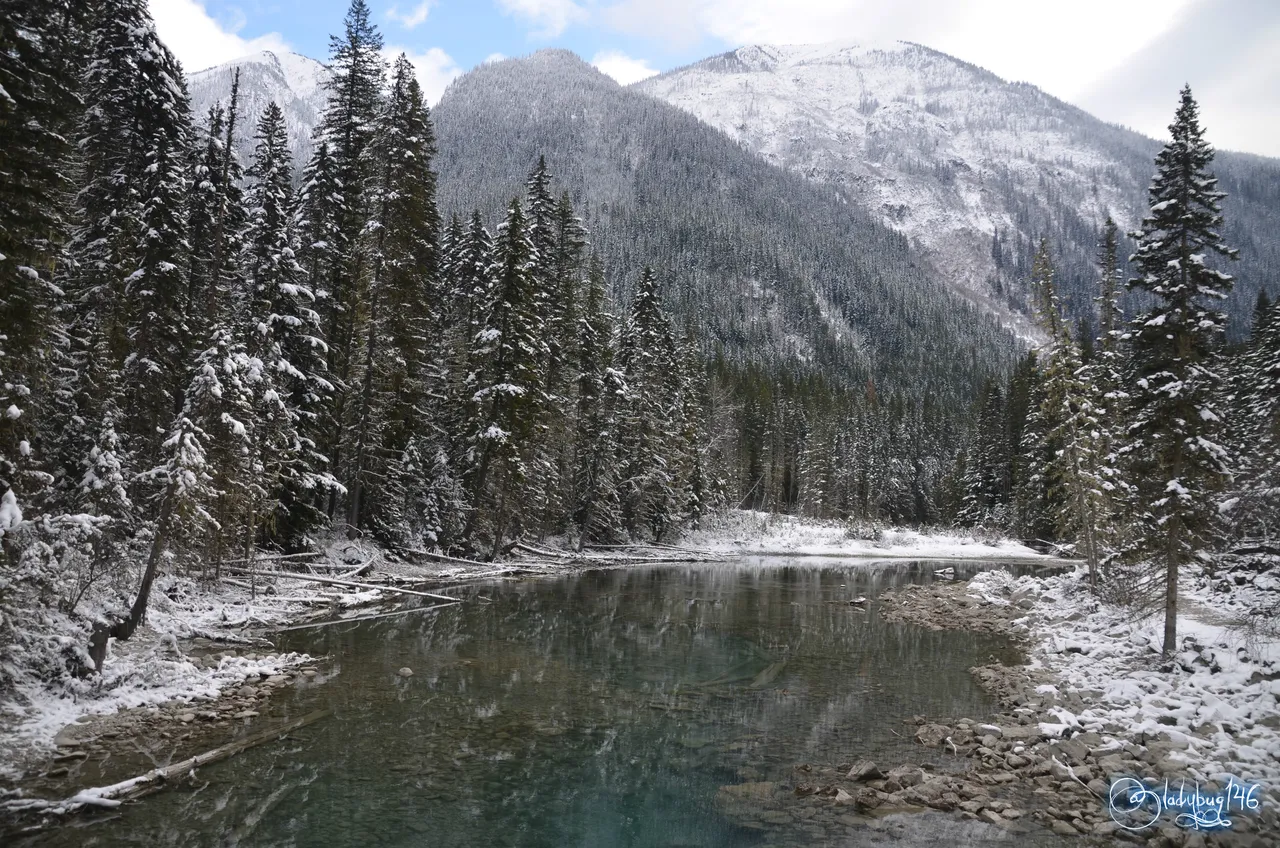 mount robson11.jpg
