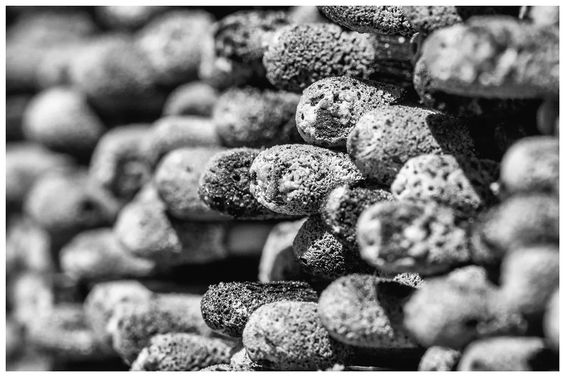 DSC_4622-BW-2-ST.png