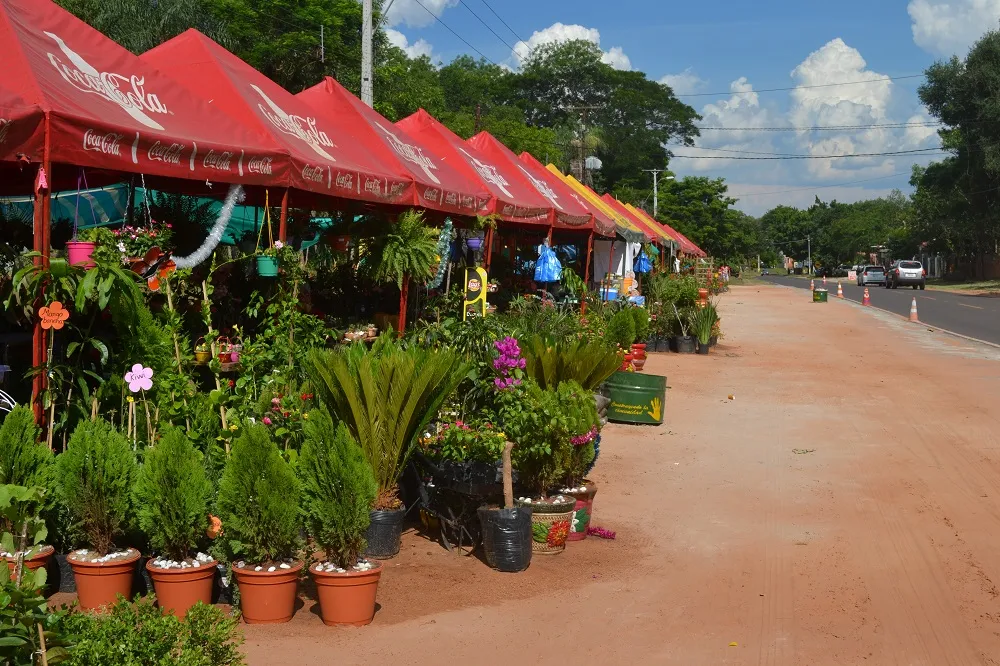 mercado-planta-1.jpg