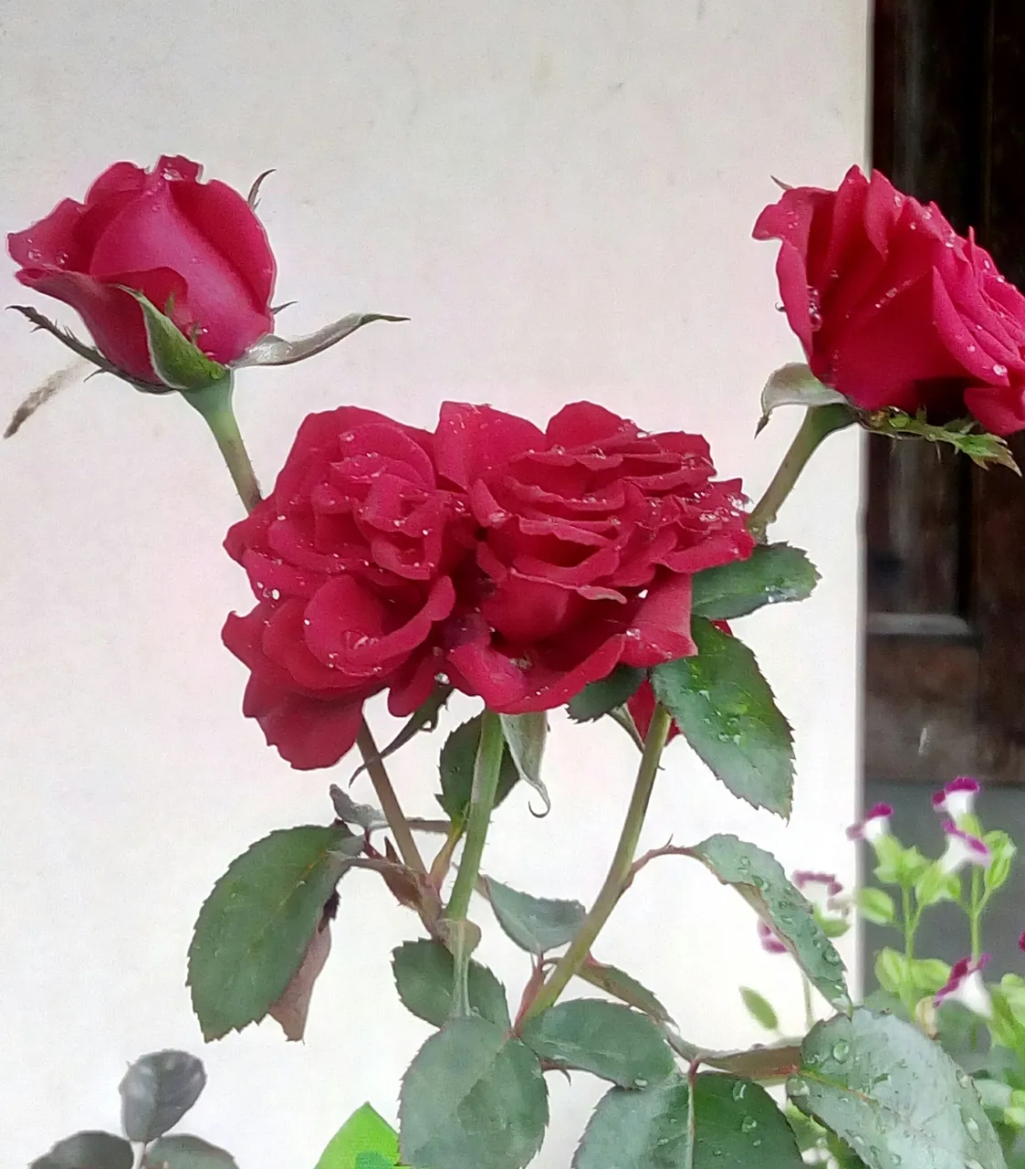 _20180807_151616.jpg