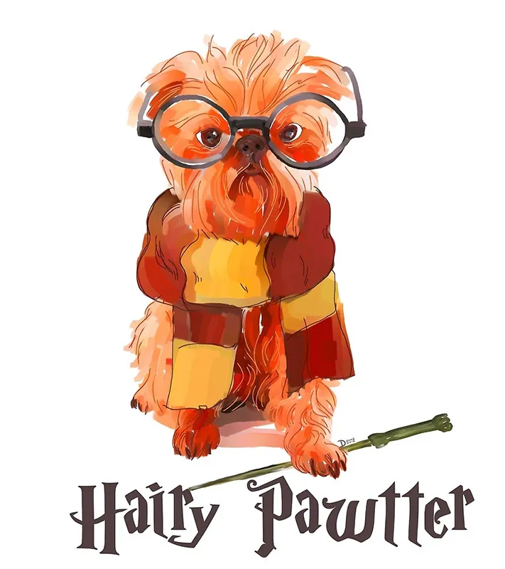hairypottersmall.jpg
