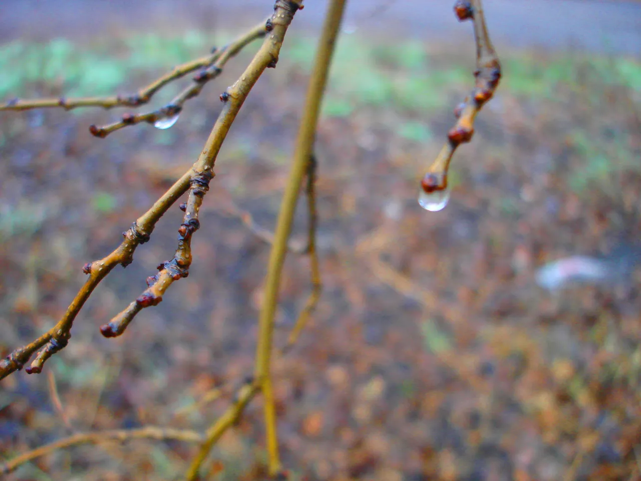 DSC01857-2222222.jpg