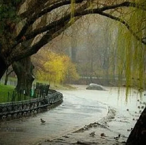 parque-romance-1.jpg