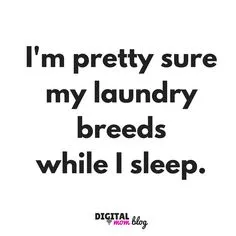 laundry breeds.jpg