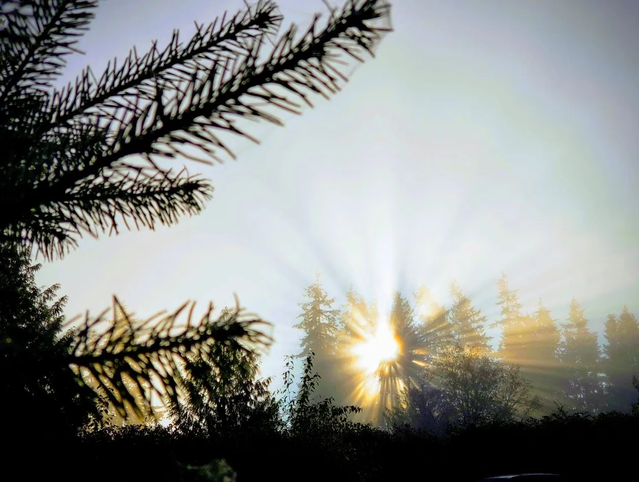 SundaySunrise_GP.jpg