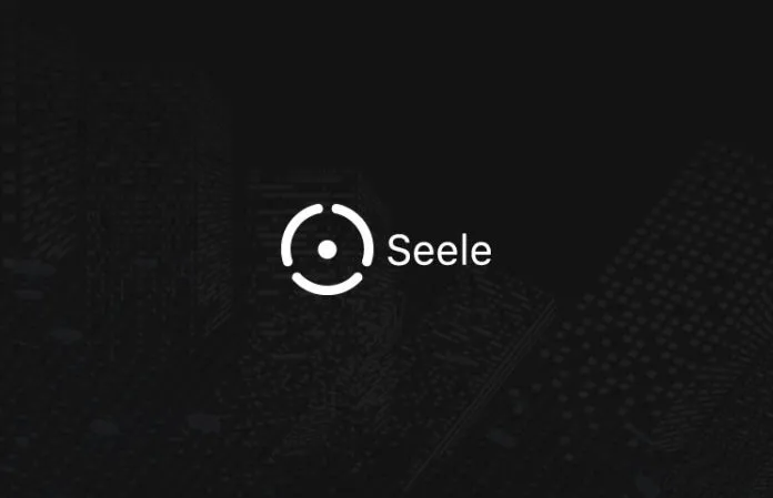 seele-ico-review.jpg