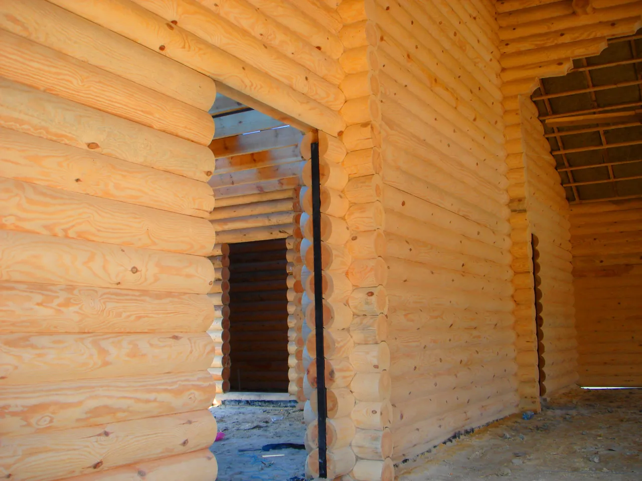 DSC01794-2333333.jpg