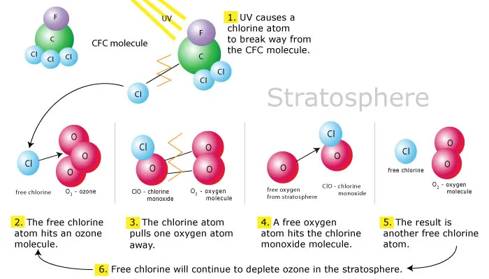 reaction ozone.jpg