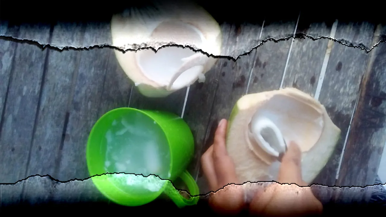 Kelapa Hijau (5).jpg