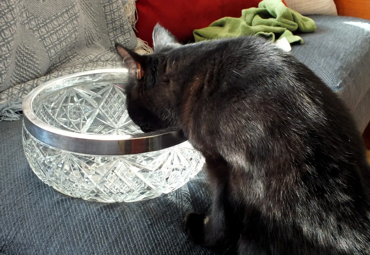 CC0265-InTheBowl.jpg