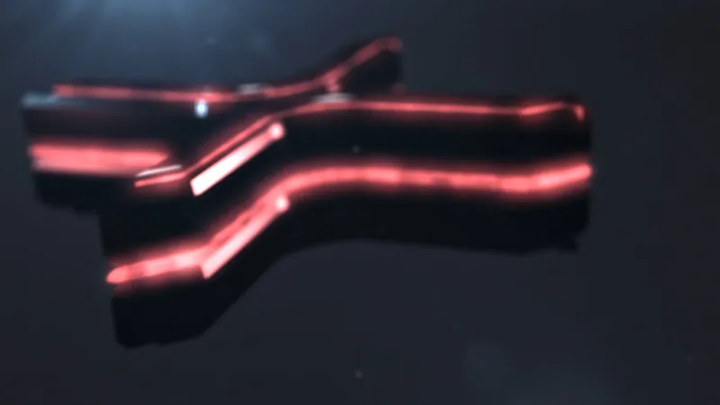 bidesign_ripple5.jpg