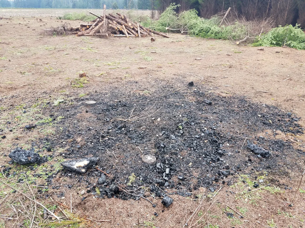 burning-the-logs.jpg
