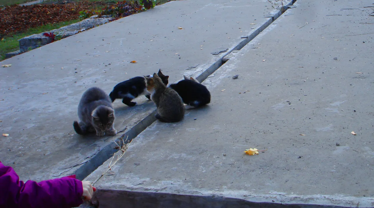 DSC01759-5555555.jpg