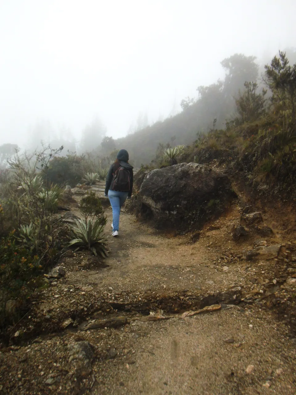 DSCF5105 subir.JPG
