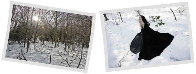 polaroid_overlap.jpg