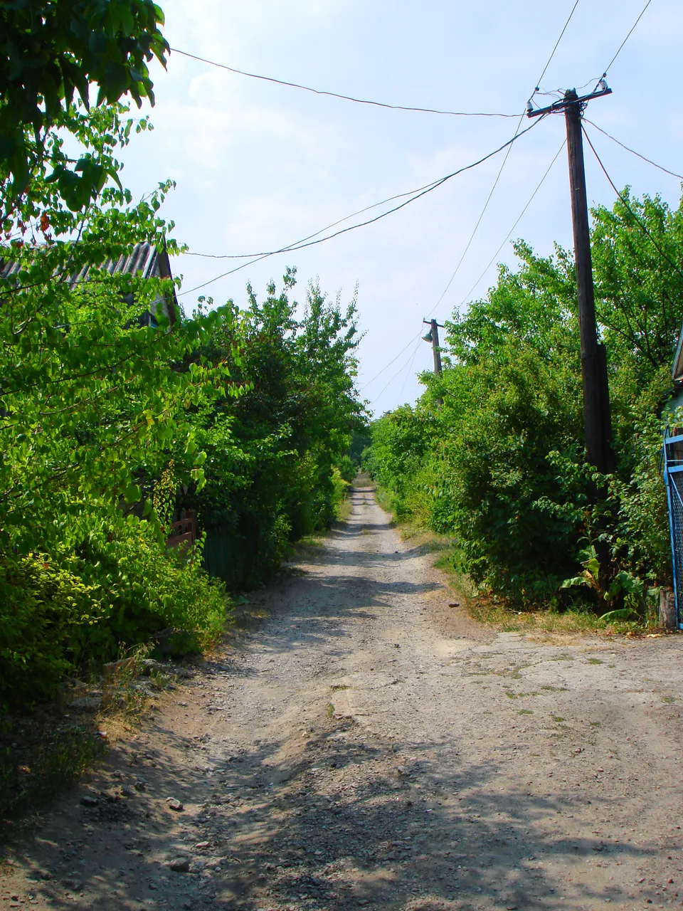 DSC01744-2222222.jpg
