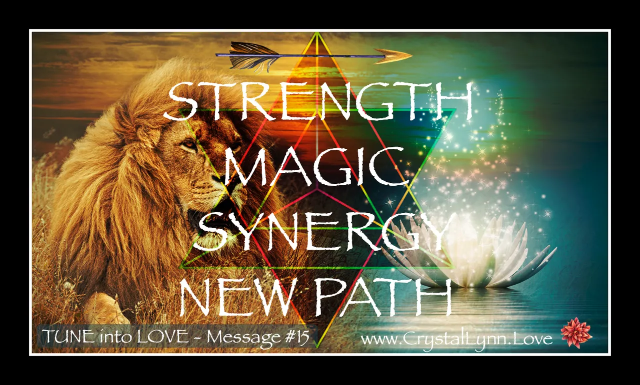 message15 copy.jpg