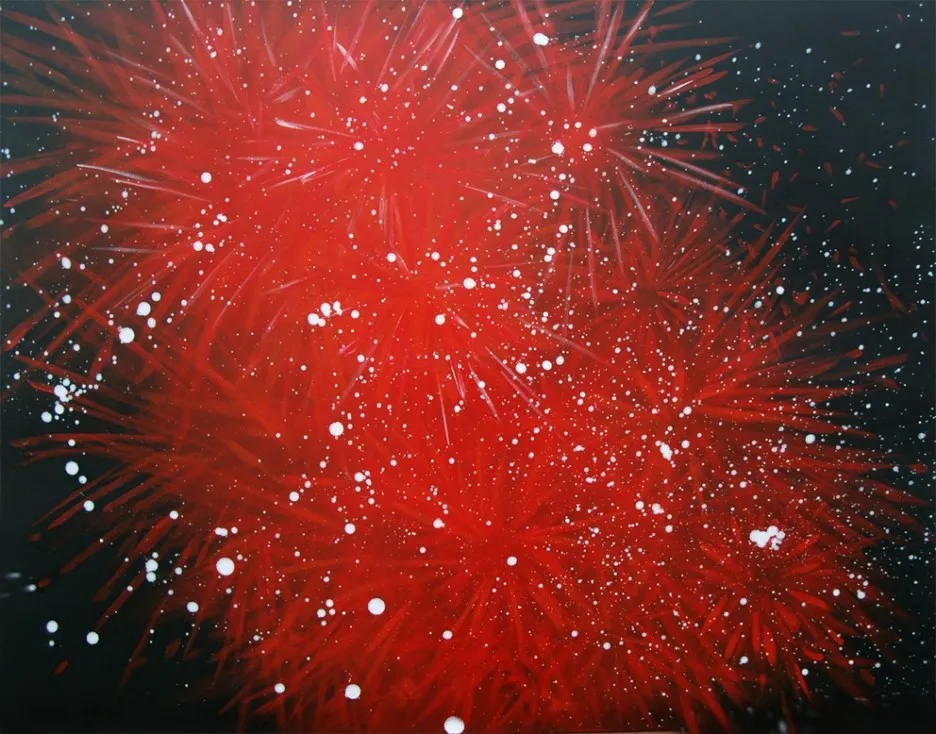 firework5_owogud.jpg