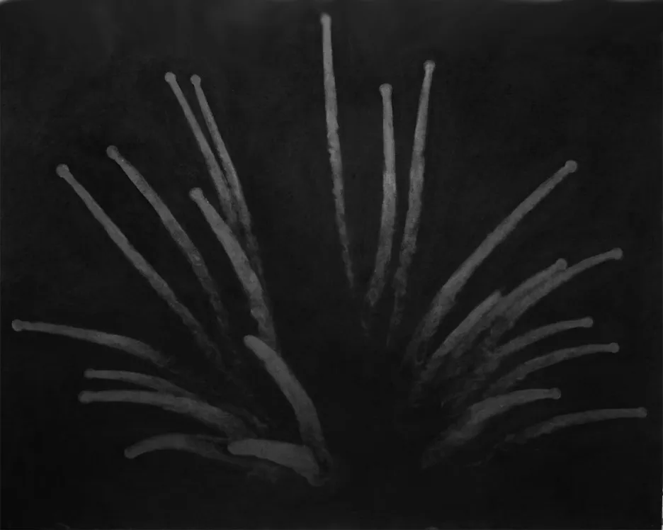 firework3_owogud.jpg