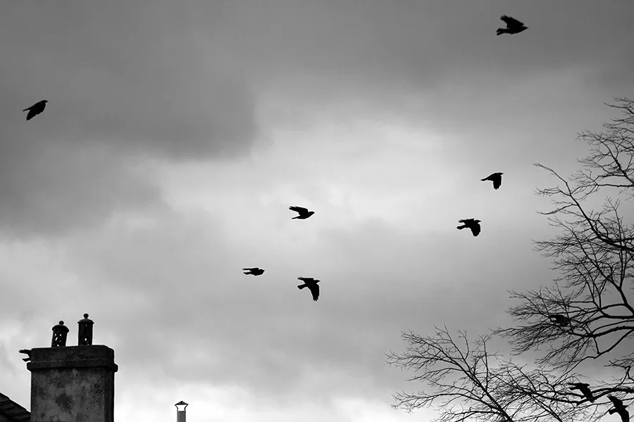 Kt_Skies_ph010_s.jpg