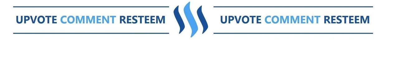 Steemit footer.jpg